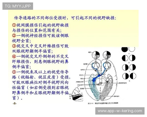 琑员如何在比赛中提高传球视野与突破后的传导效率，提高传球力量